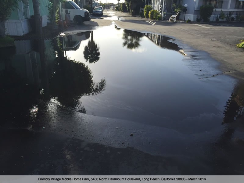 Friendly Village Mobile Home Park - Standing Water 0820