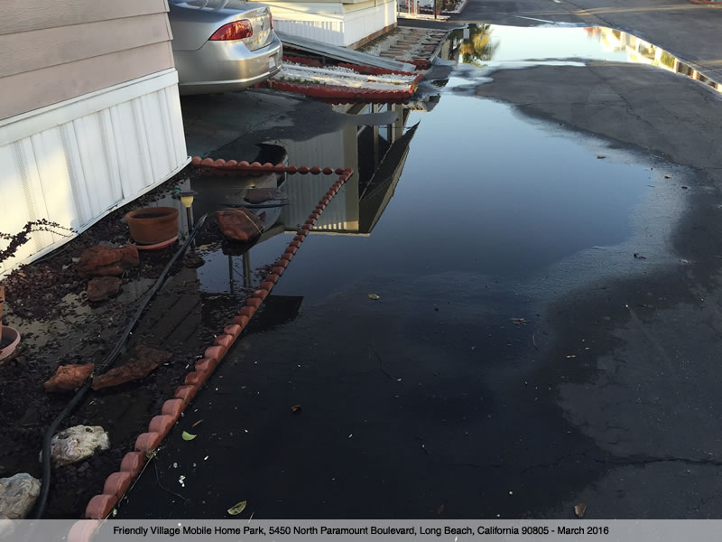 Friendly Village Mobile Home Park - Standing Water 0957