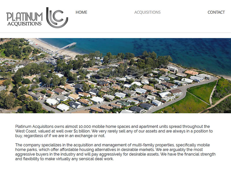 Screenshot of Platinum Acquisitions LLC Website Home Page