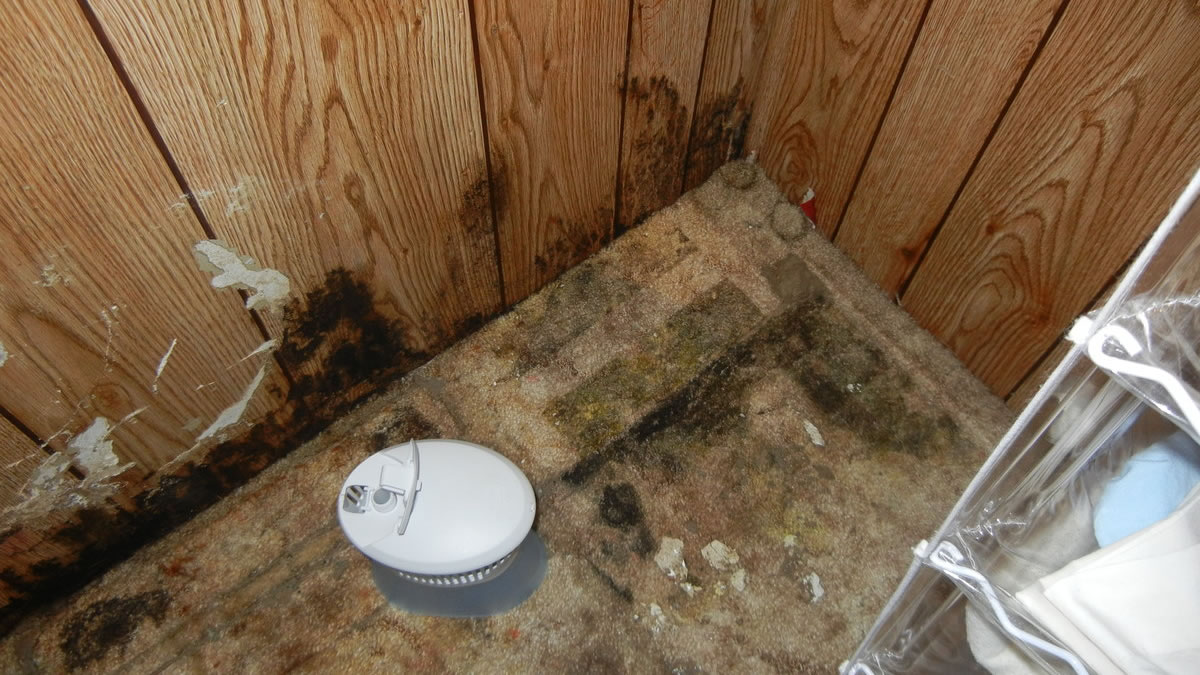 Mold In Mobile Homes And Your Health Mobile Home Owner Tips